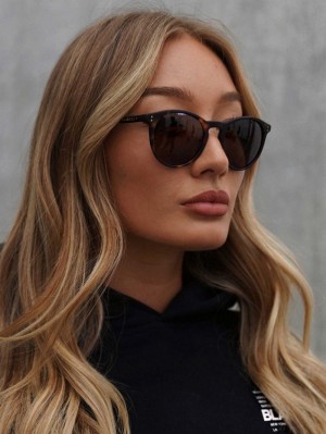 Blakely 22.1 Sunglasses Havana Tortoiseshell | GWBIN-0816