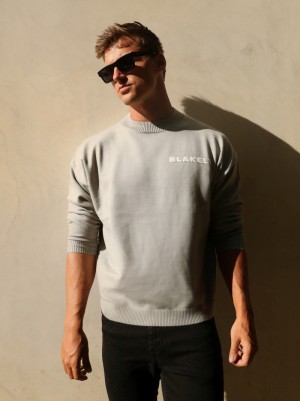 Blakely Blakely Gebreid Jumper Lichtgrijs | JQFVE-4309