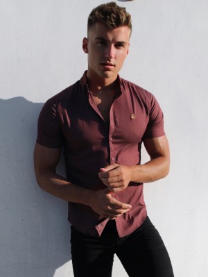Blakely Brisbane Kort Sleeve Shirt Bordeaux | UTOBG-7614