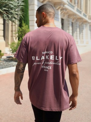 Blakely Monaco Relaxed T-Shirt Bordeaux | HFJEB-4986