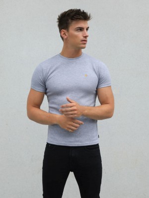 Blakely Recco T-Shirt Grijs | MVFXK-1547